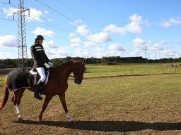 IMG_4211-024-redigeret